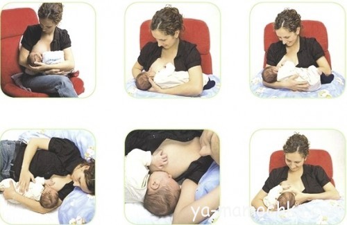 Как держать младенца во время кормления грудью