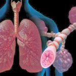 Особенности диагностики заболеваний органов дыхания у детей